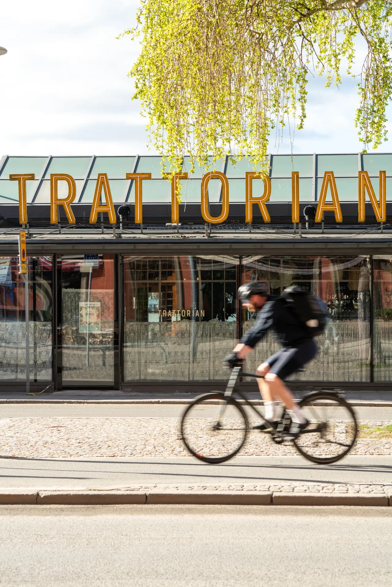 Kantarellsäsongen har hittat till Norr Mälarstrand